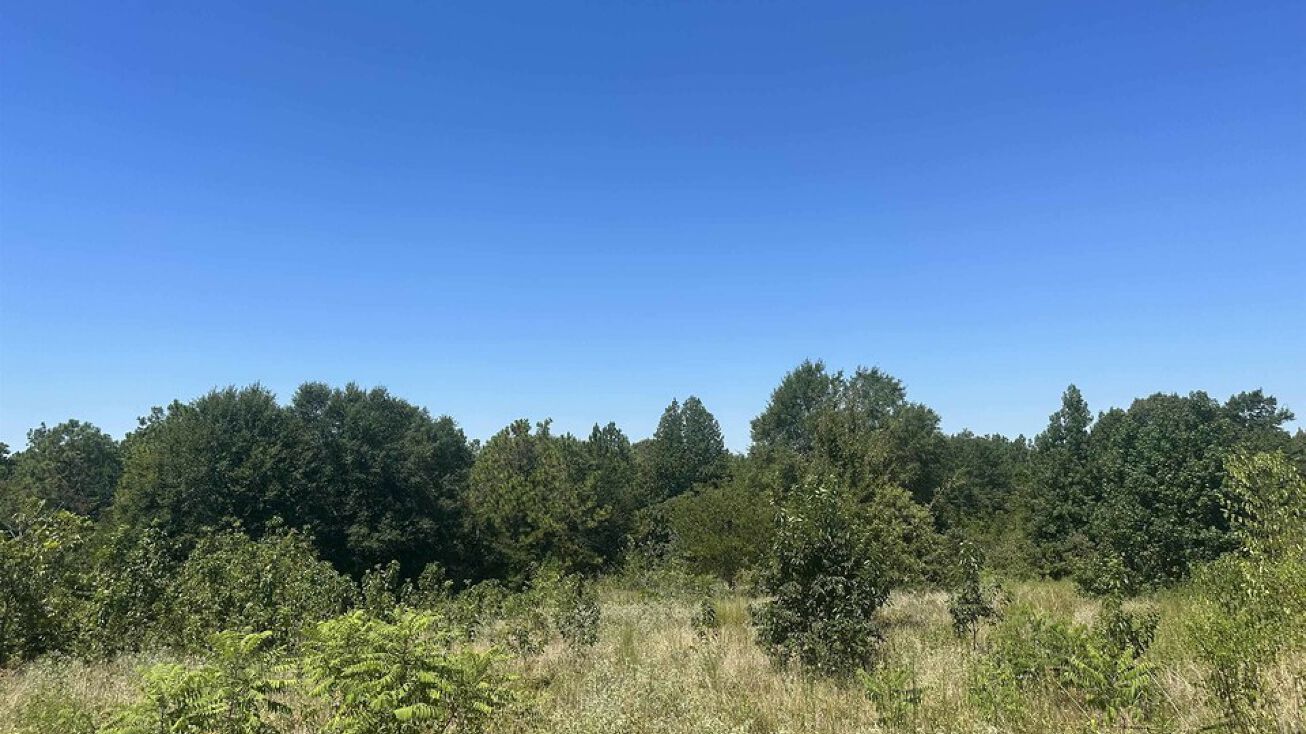 TBD CR 463, Tyler, TX 75706