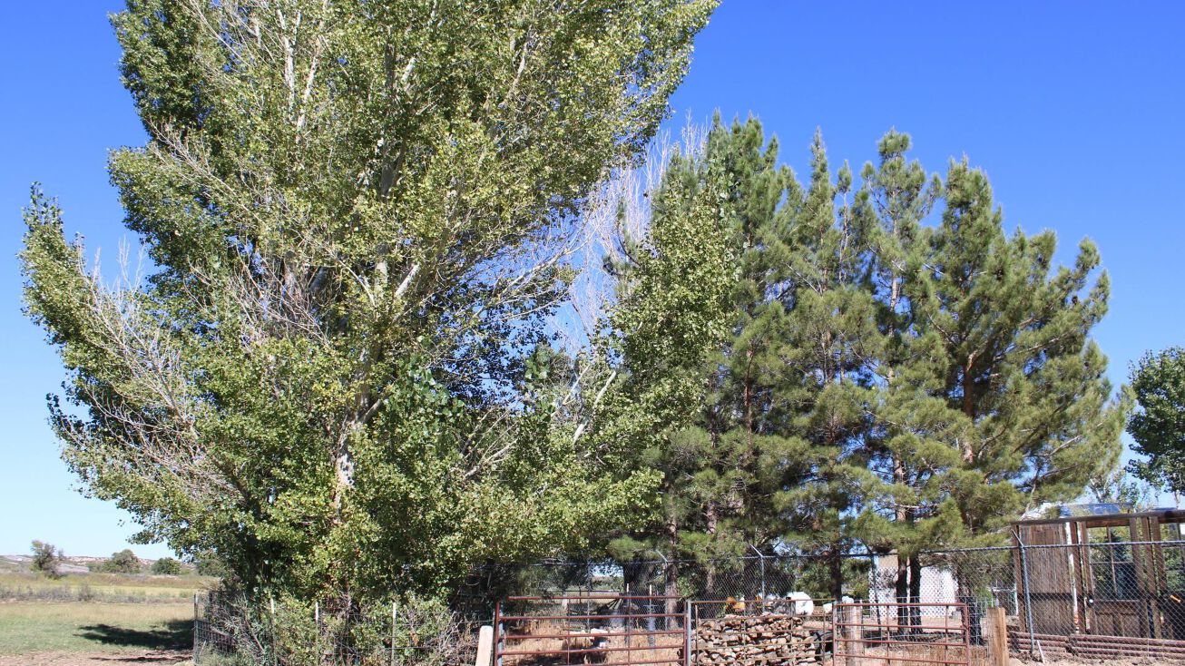 193 Frontage Rd San Acacia, San Acacia, NM 87831