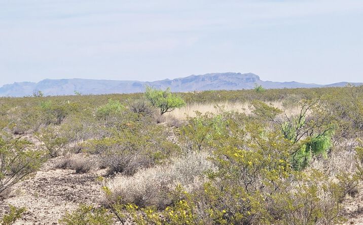 Pictures of Land property located at 265 Champagne Hills Rd, ELEPHANT BTTE, NM 87935 for sales - image #1