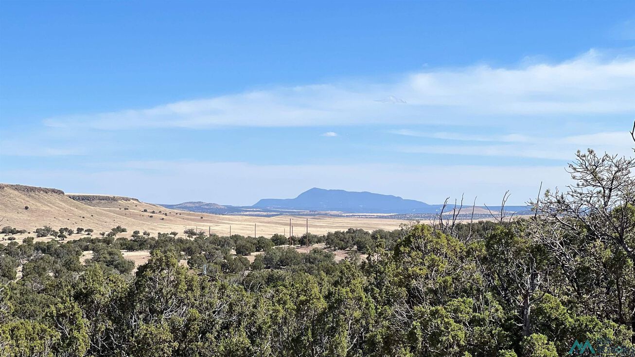 421 Cimarron Drive, Quemado, NM 87829