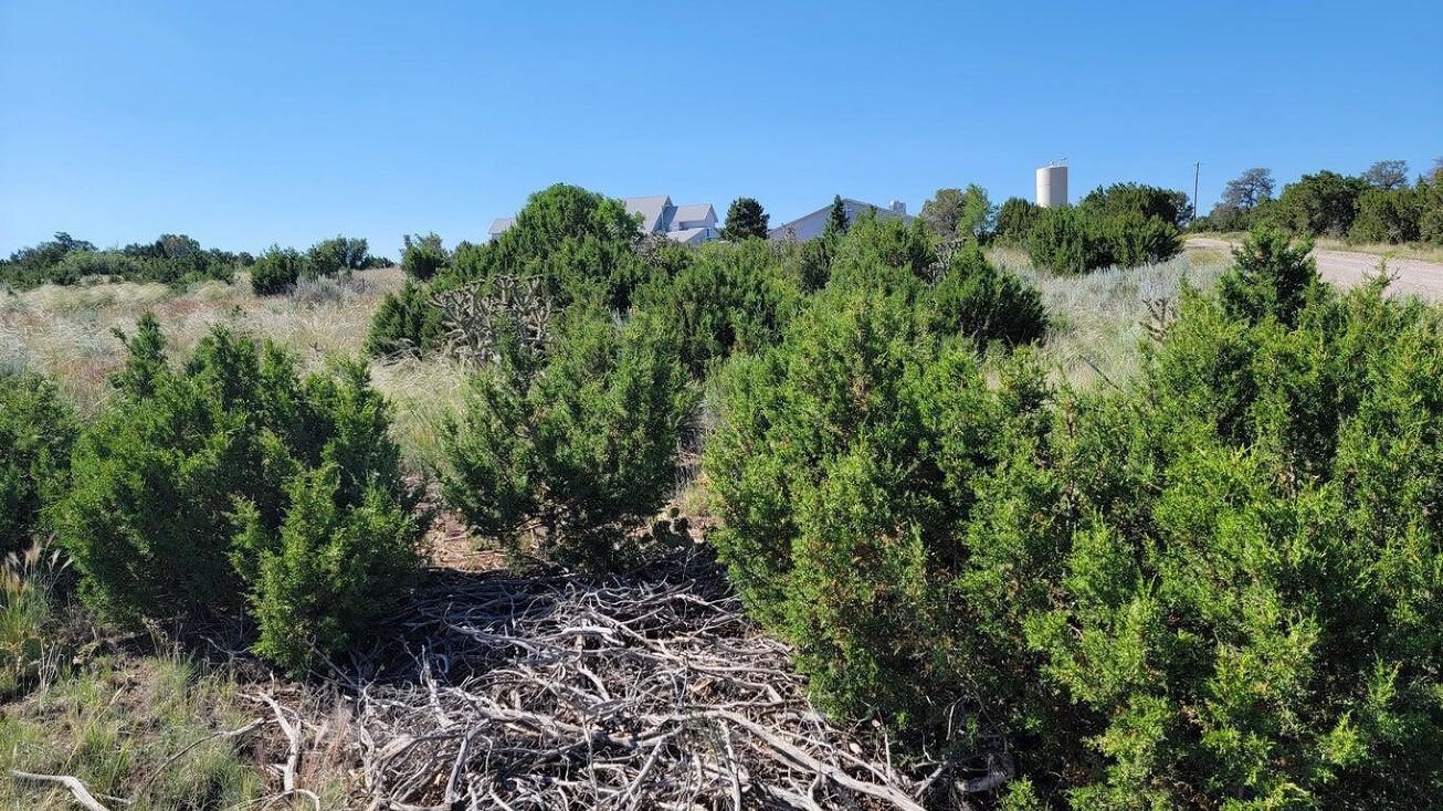 16 Leslie Ct, Edgewood, NM 87015