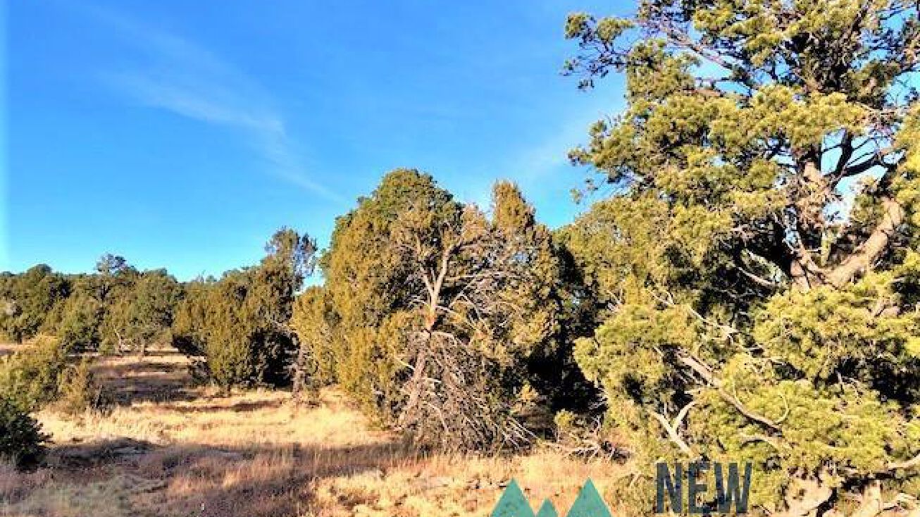 Lot 3 Cr A20, Las Vegas, NM 87701