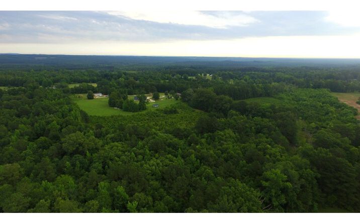 Pictures of Land property located at Other, Arkadelphia, AR 71923 for sales - image #1