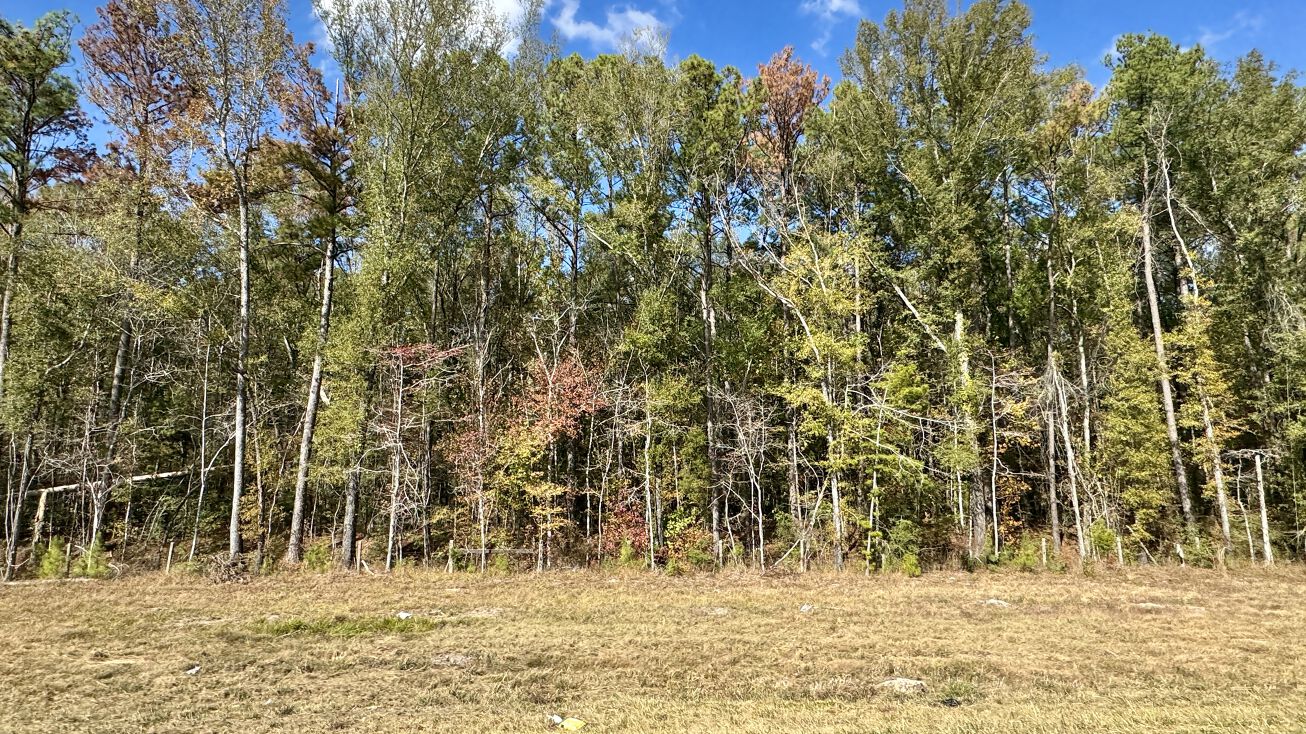 I59 Ellisville Tract, Ellisville, MS 39437