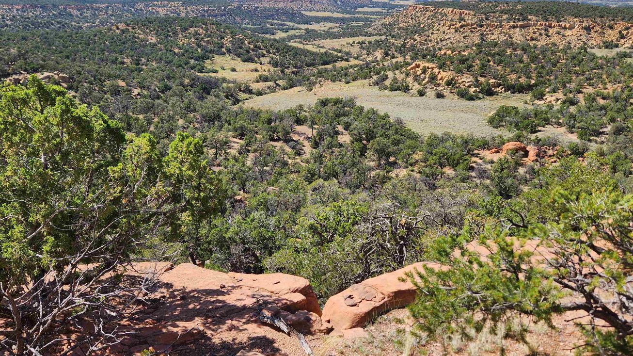 69 Rincon Hondo Canyon Rd, Fence Lake, NM 87315