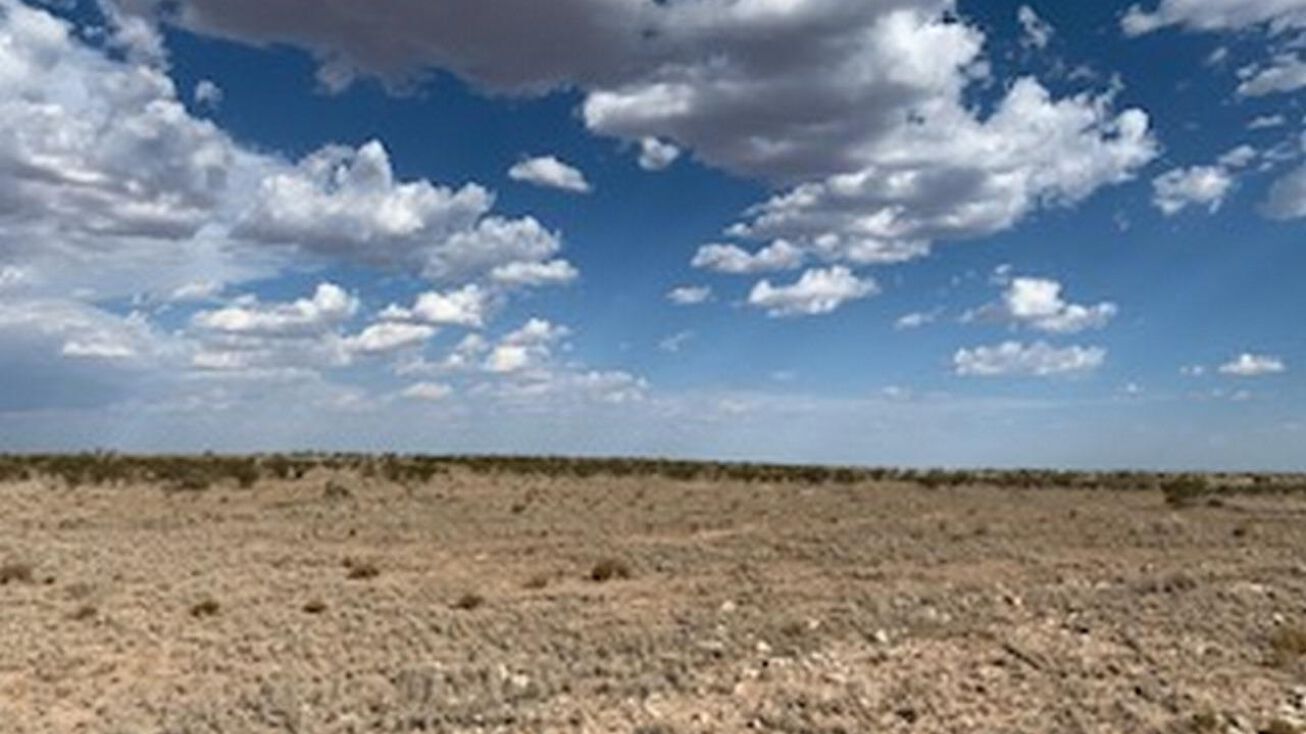 E of 437 Santa, Hope, NM 88250