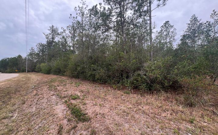 Pictures of Land property located at NHN Creek Cove, Perkinston, MS 39573 for sales - image #1