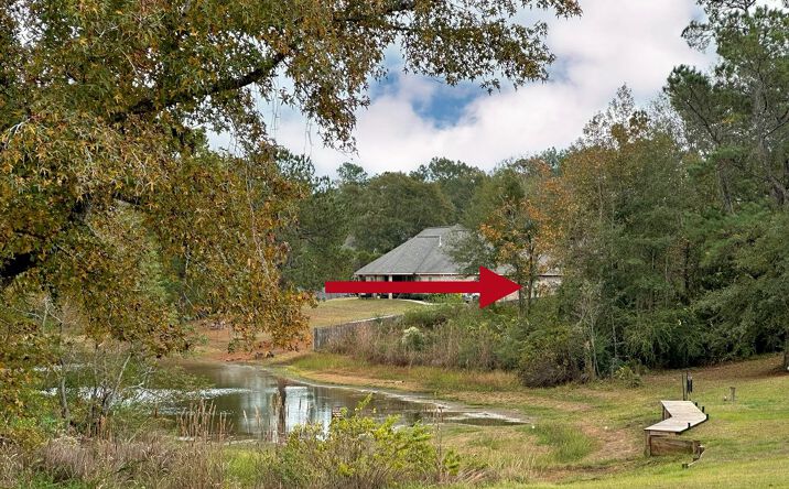 Pictures of Land property located at 9 Knoll Creek Dr, Carriere, MS 39426 for sales - image #1
