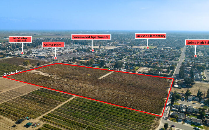 Pictures of Land property located at 9885 S McCall Ave, Selma, CA 93662 for sales - image #1