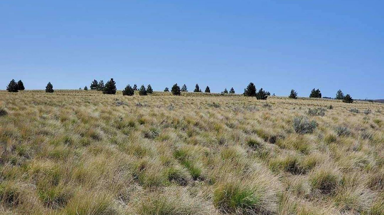 Nka Middle Rd, Bickleton, WA 99322