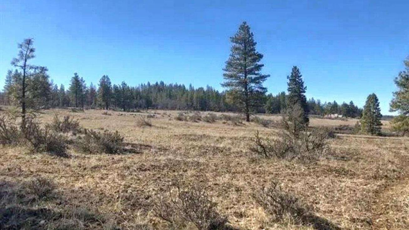 598 Chambers Rd, Goldendale, WA 98620