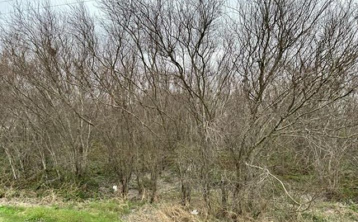 Pictures of Land property located at U.S. 181 Frontage Rd, Beeville, TX 78102 for sales - image #1