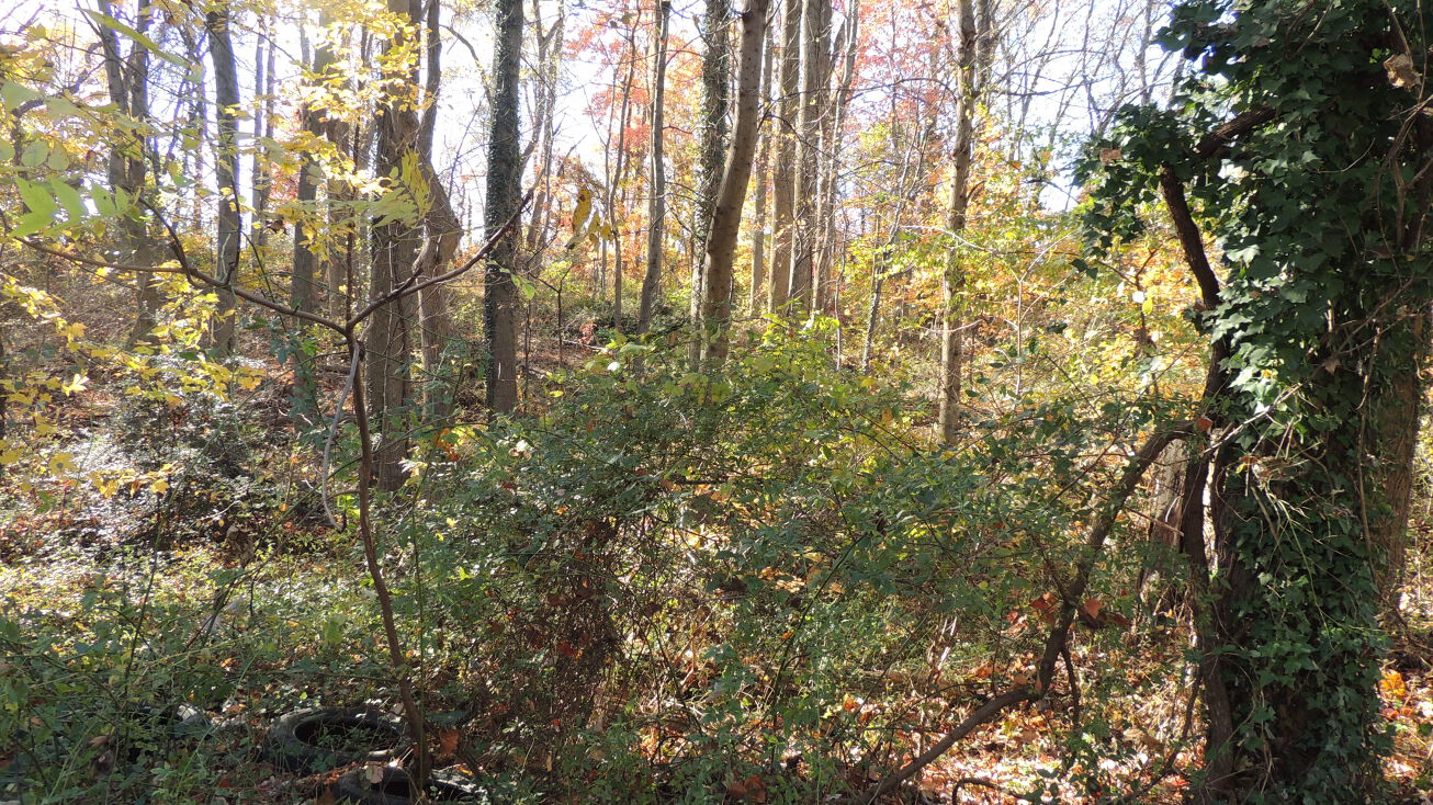 1841 Bel Air Rd, Woodbridge, VA 22191