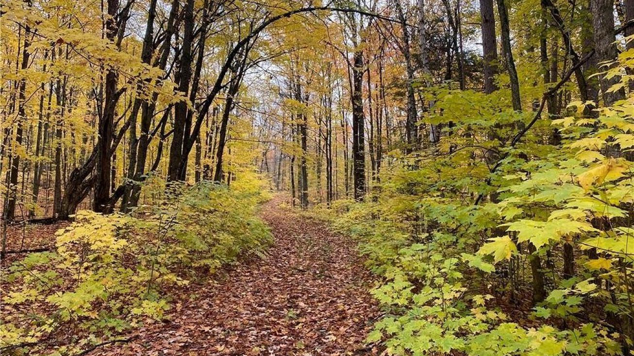 17495 Fr 404 B, Drummond, WI 54832