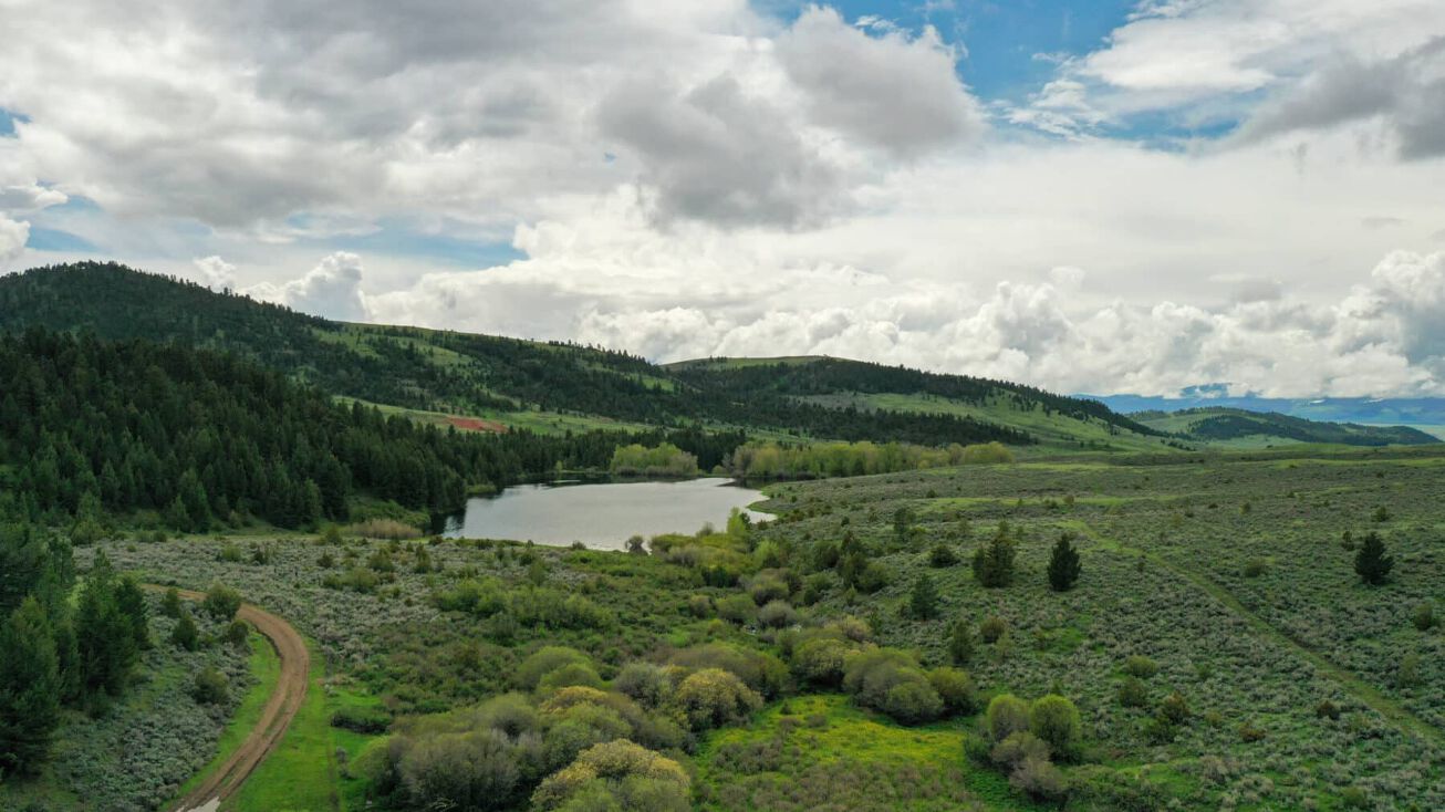 Mcguire Spring Creek Ranch, White Sulphur Springs, MT 59645