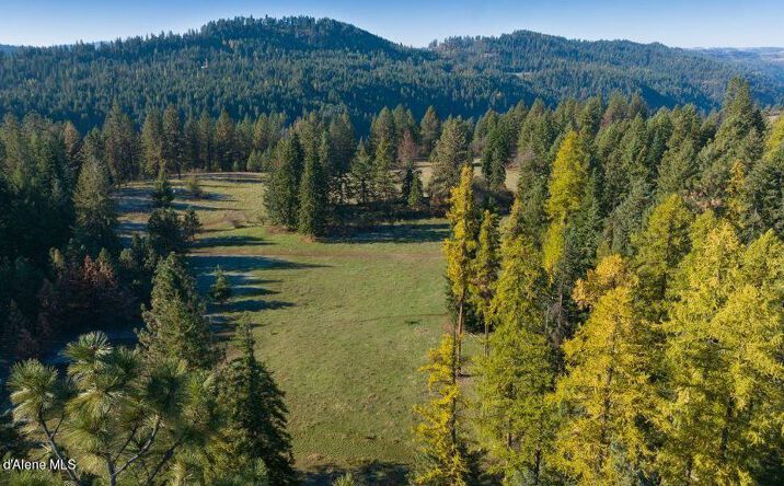 Pictures of Land property located at Summer Rd, Orofino, ID 83544 for sales - image #1