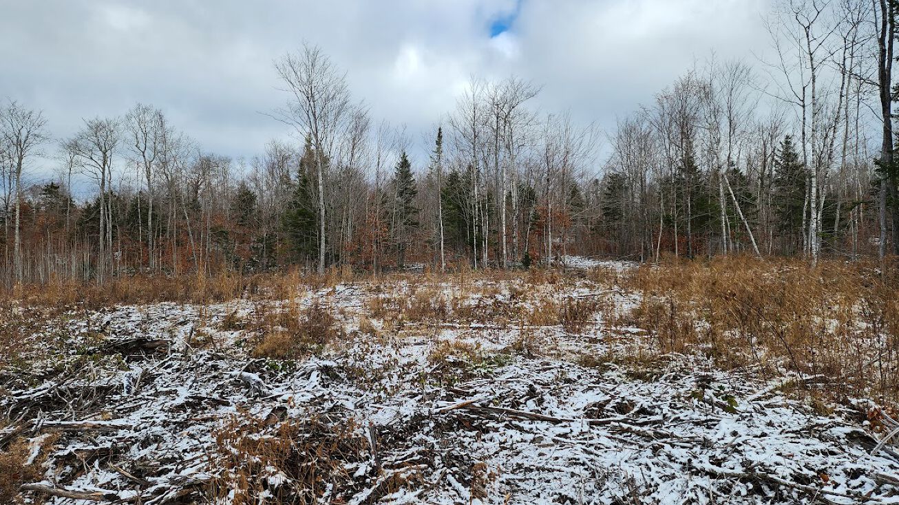 Lot 4 Greenleaf Brook Amity Me, Amity, ME 04471