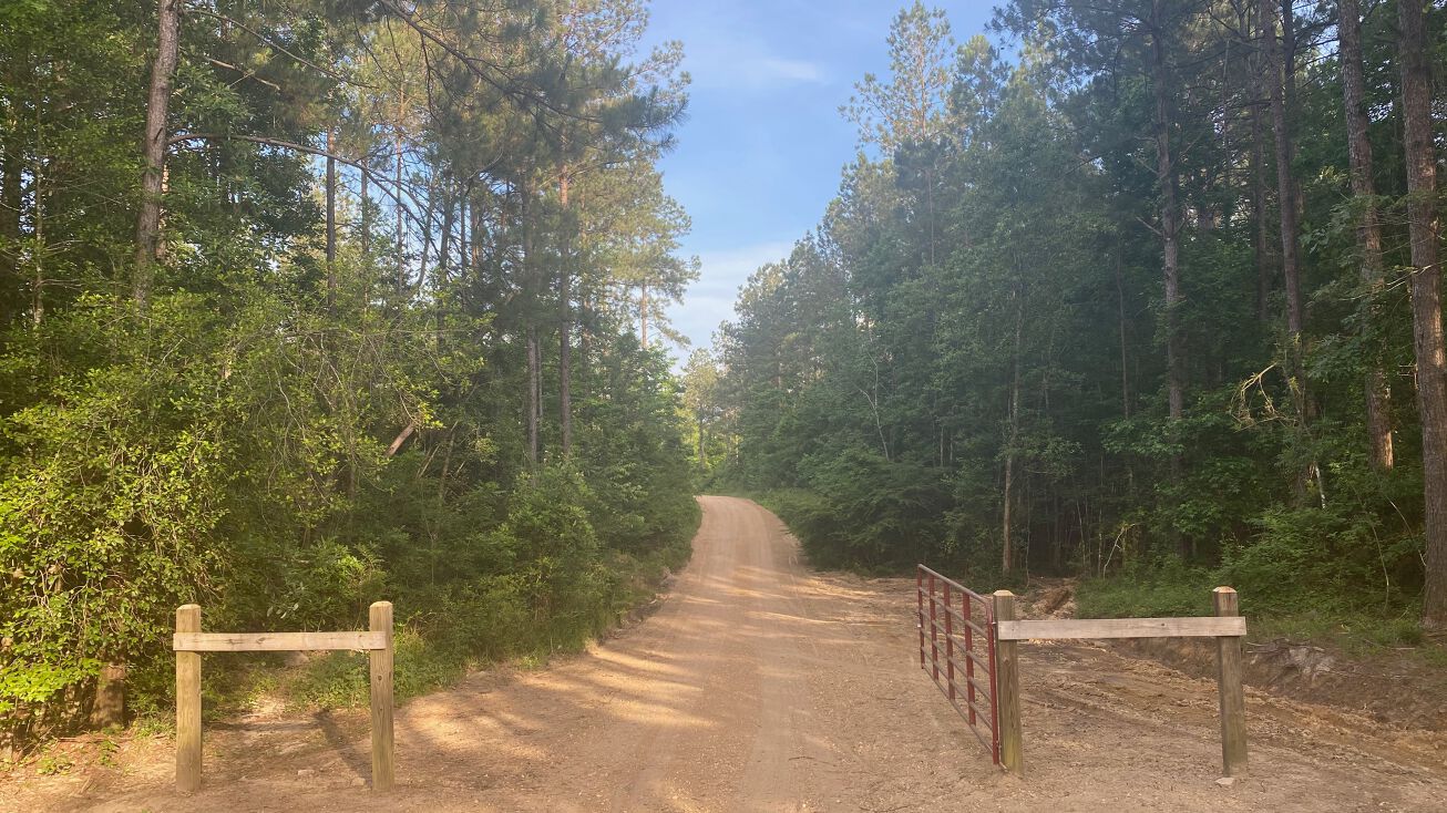 20 Acres Poncey Road, Sumrall, MS 39482