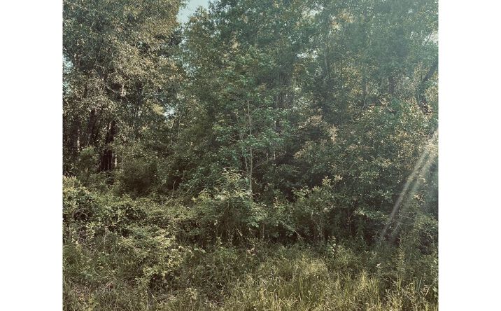 Pictures of Land property located at E Adams St Lots 19&20, Bay St. Louis, MS 39520 for sales - image #1