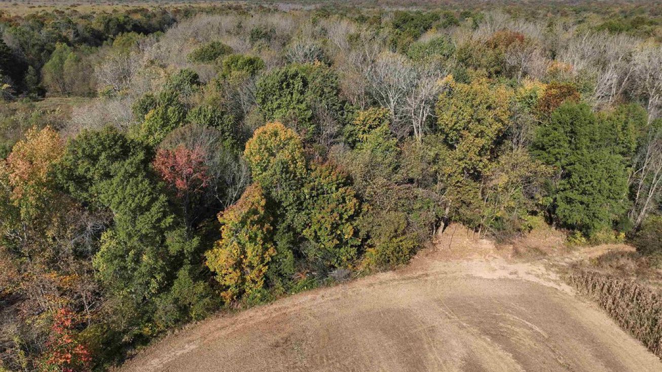 000 Steve Denton Rd, Barlow, KY 42024