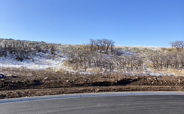 Pictures of Land property located at 1606 S 920 E, Salem, UT 84653 for sales - image #1