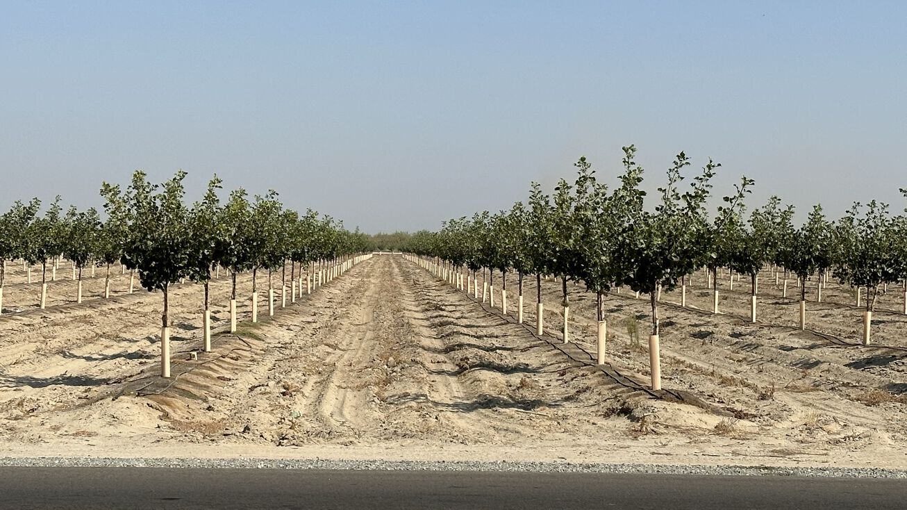 190 W Harlan Ave, Riverdale, CA 93656