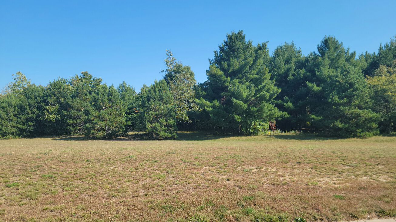 Lot 4 Charlotte Street/Range Road, Boyceville, WI 54725