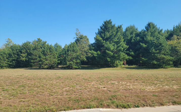 Pictures of Land property located at Lot 4 Charlotte Street/Range Road, Boyceville, WI 54725 for sales - image #1