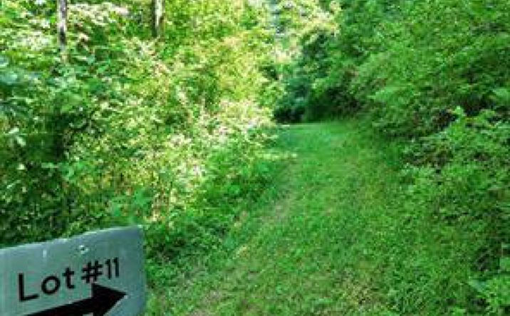 Pictures of Land property located at 3940 Wedgewood Drive, Mcconnelsville, OH 43756 for sales - image #1