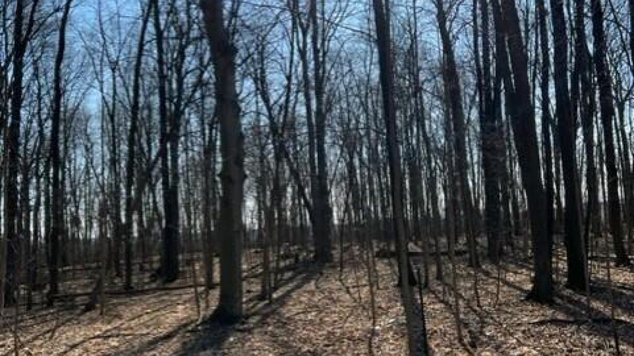 5265 Co Rd 48, Rushsylvania, OH 43347