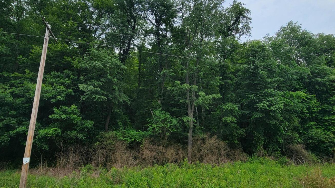 0 Brushy Fork Road, Newark, OH 43055