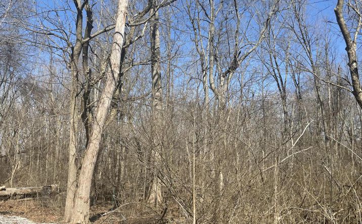 Pictures of Land property located at 0 Dahlia Drive, Thornville, OH 43076 for sales - image #1