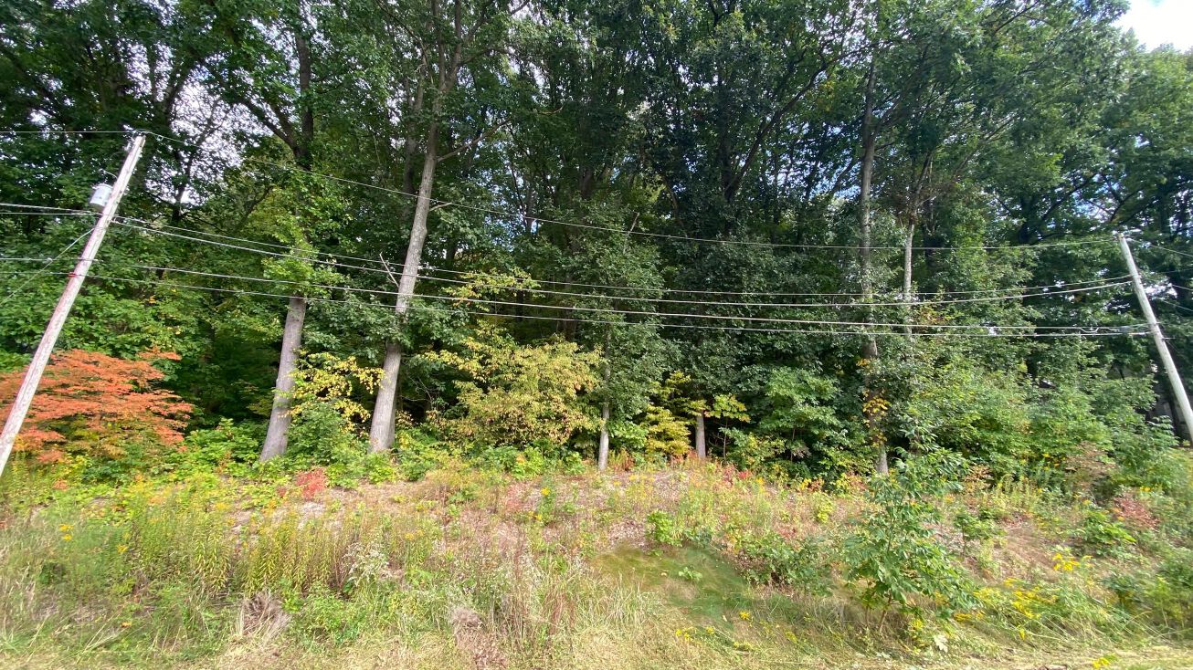 0 Lynnwood Drive, Minerva, OH 44657