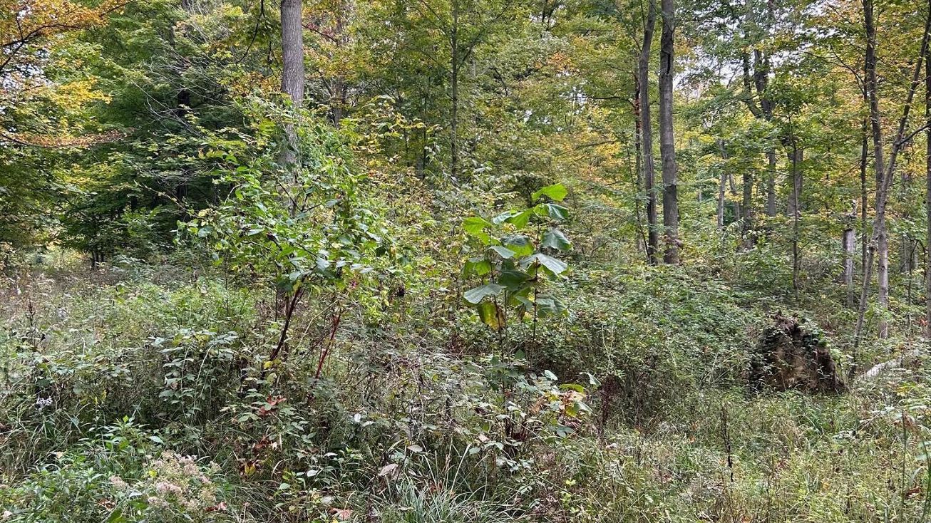 0 Ewart Road, Utica, OH 43080