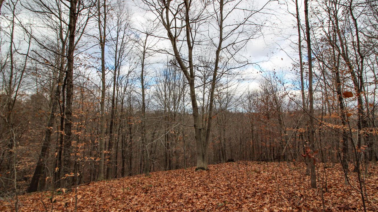 0 Virginia Ridge, Philo, OH 43771