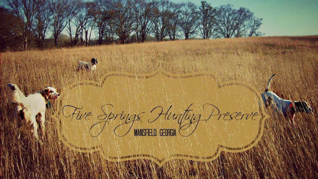 219 Spears Ln, Mansfield, GA 30055