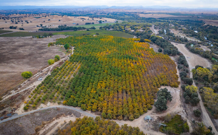 Pictures of Land property located at 24608 Yosemite Blvd, Waterford, CA 95386 for sales - image #1
