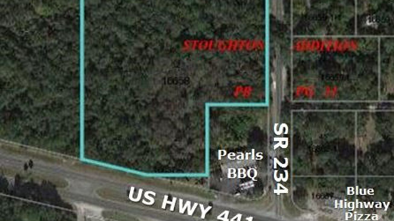 102 NE US Hwy 441, Micanopy, FL 32667