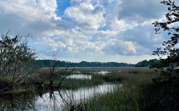 Pictures of Land property located at Lot D-2 at 7743 Toogoodoo Road, Meggett, SC 29449 for sales - image #1