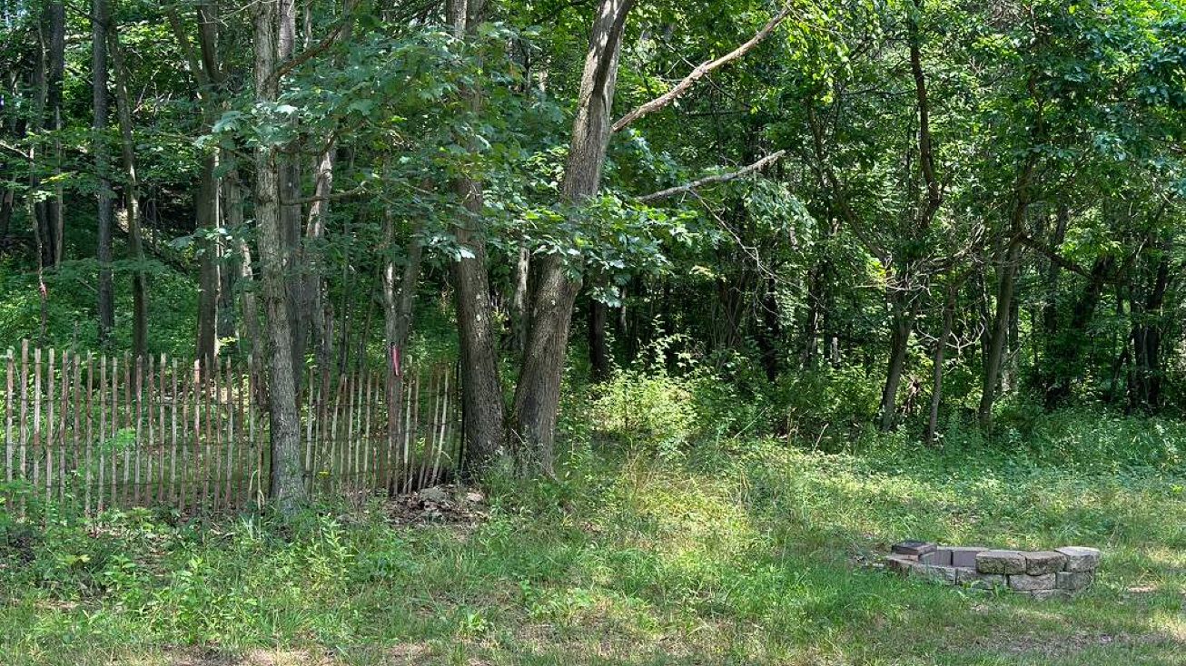 Hogback Rd, Curwensville, PA 16833