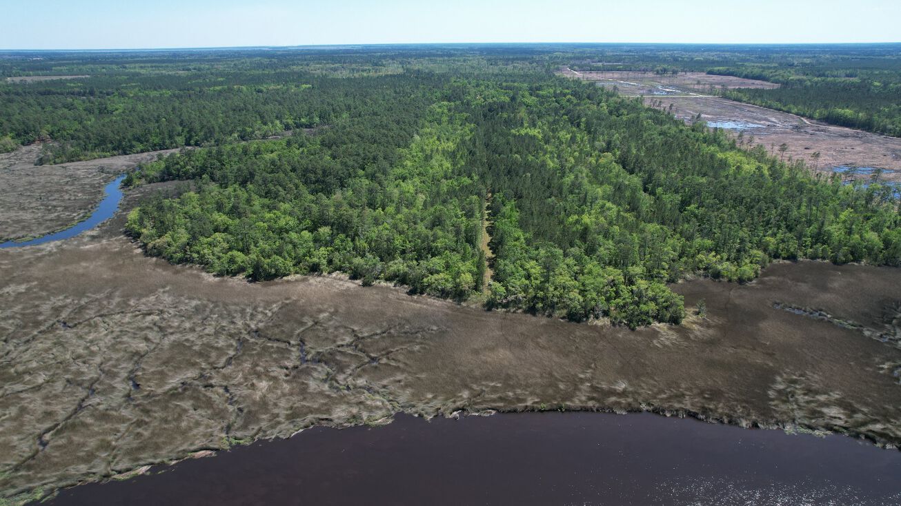 43 Acres on the Little Satilla River, Waverly, GA 31565