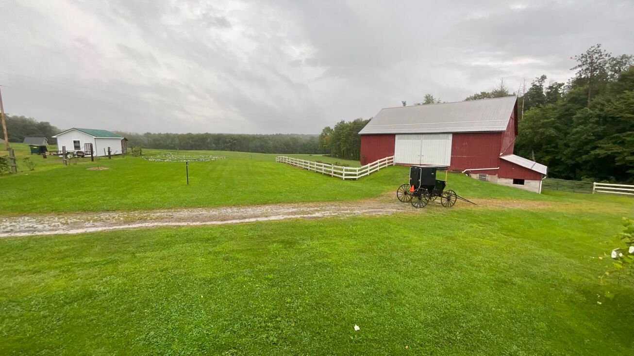 330 Fred Bechel Ln, Nicktown, PA 15762