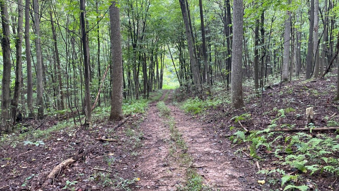 0 Old National Pike Flintstone, Flintstone, MD 21530