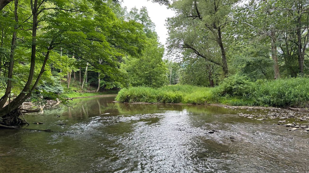 0 Route 36, La Jose, PA 15753