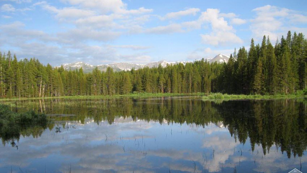 1234 Lotus Lon Drive, Leadville, CO 80461