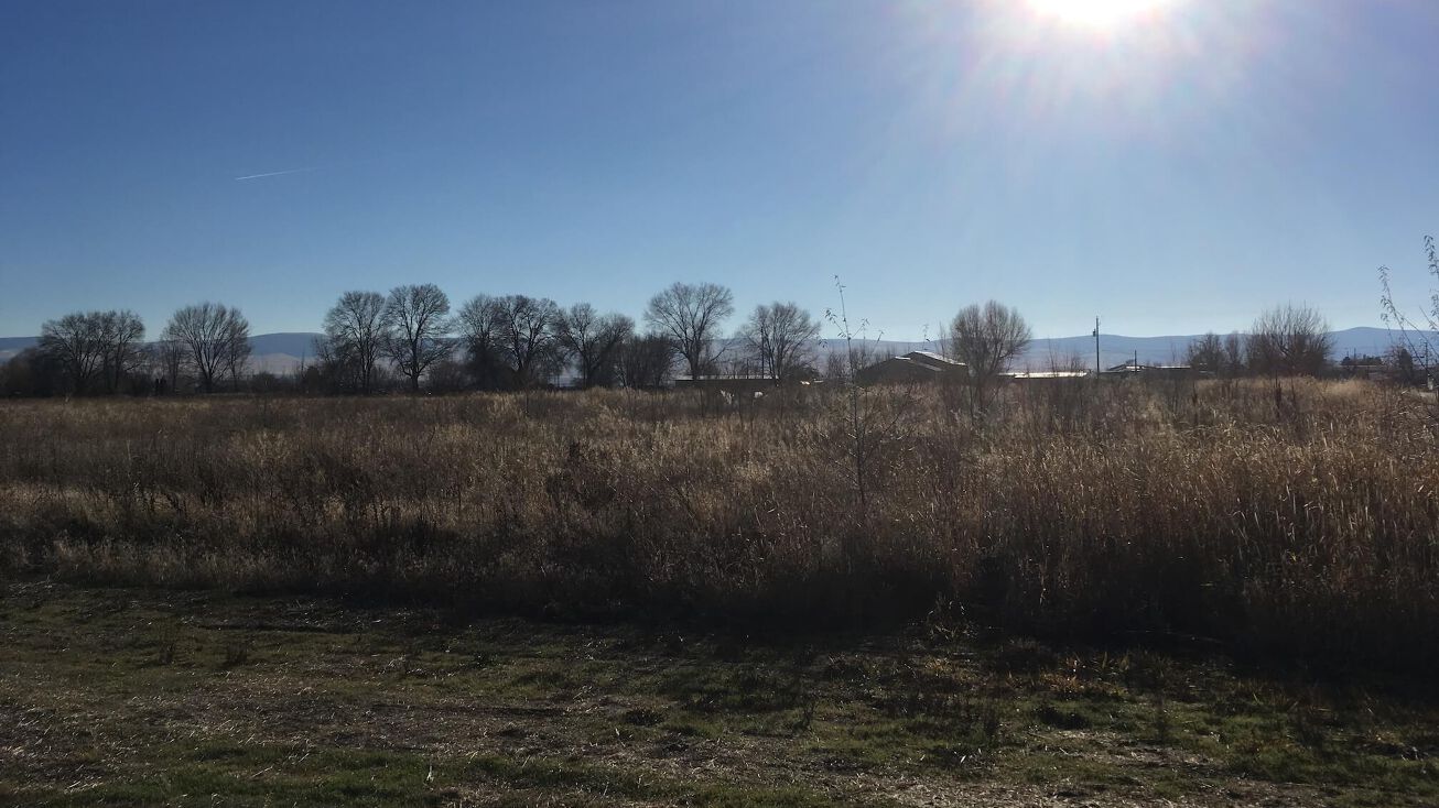 720 E Rose St, Mabton, WA 98935