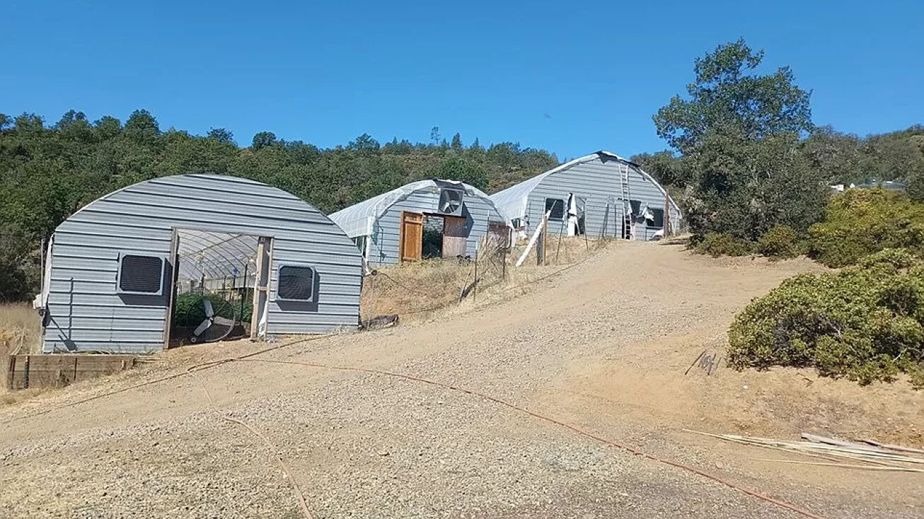 S Meadow Ln, Hayfork, CA 96041