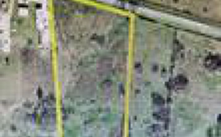 Pictures of Land property located at 1367 TX-75, Huntsville, TX 77320 for sales - image #1
