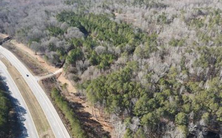 Pictures of Land property located at 3696 Highway 20 W, Hampton, GA 30228 for sales - image #1