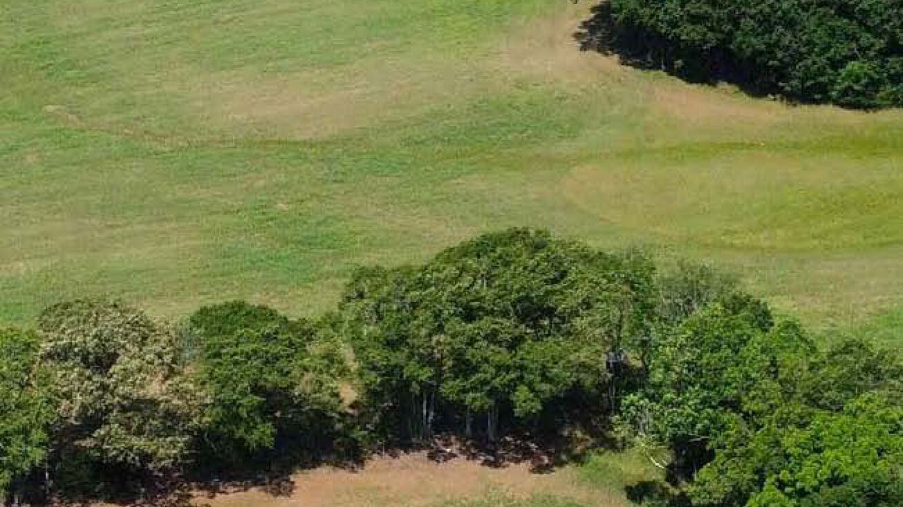 Tract 1 Woodlawn Rd, Mansfield, GA 30055